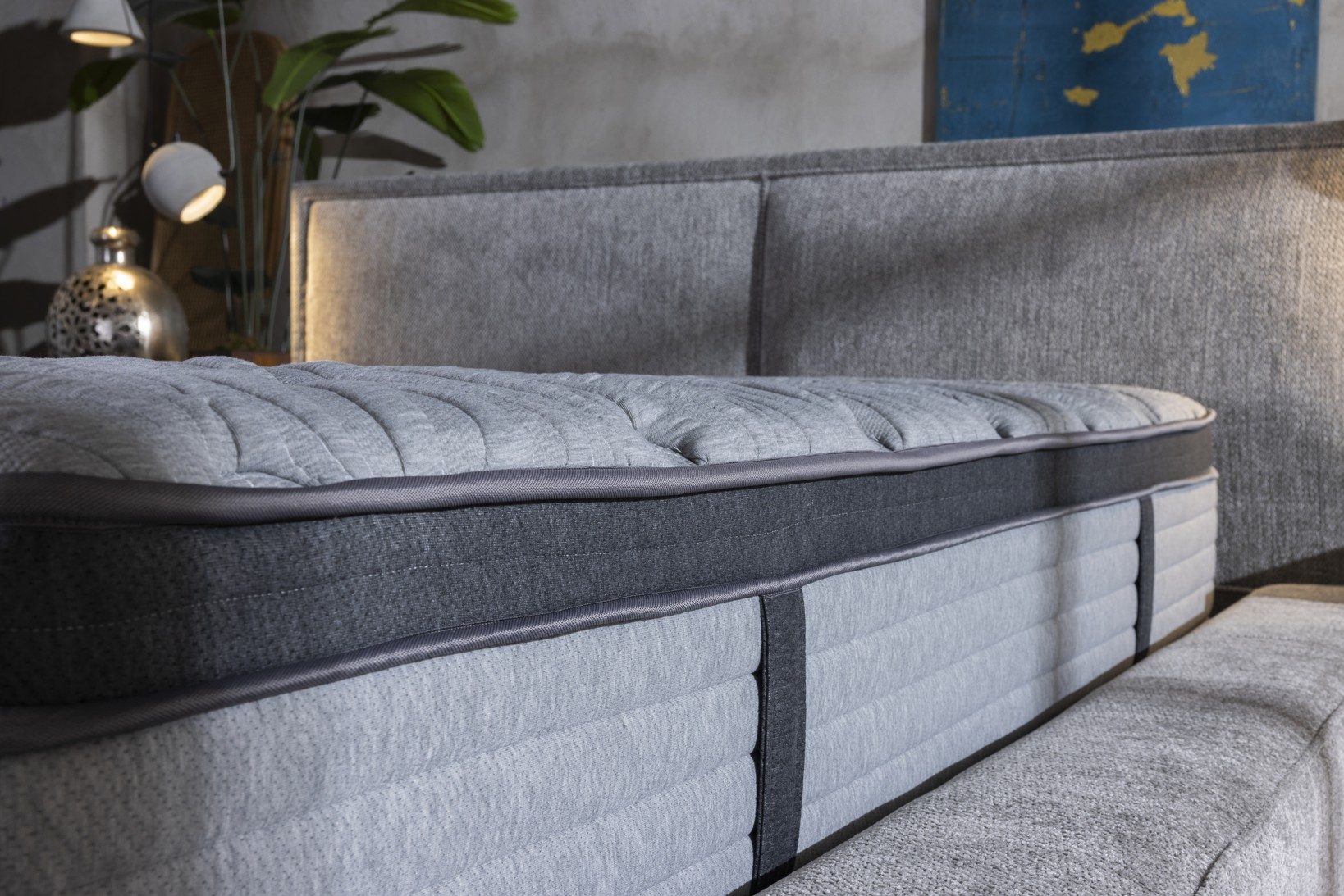 Diamond Carbon Plus – foto